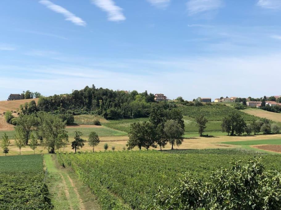 Ca' Dal Bertu - Cascina In Monferrato *